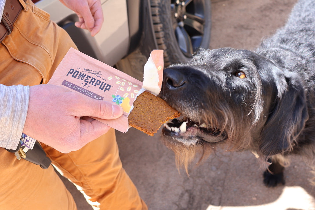 A person holds a packaged dog treat toward a black dog in a real outdoor setting. The package reads Powerpup.
