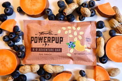 Powerpup Bars, Box of 6